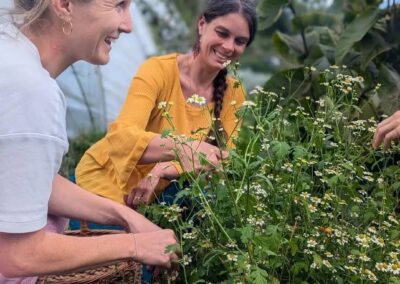 Récolte de plantes médicinales pour les soins naturels